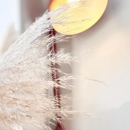 Xviiieme Centre Historique Lejlighed